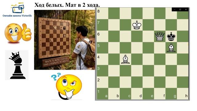 ШАХМАТНЫЙ досуг в МАТЕМАТИЧЕСКОЙ школе. ВИДЕО - 2.
