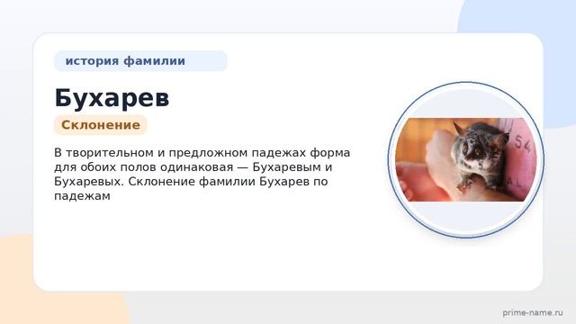 Фамилия Бухарев: происхождение значение и склонение