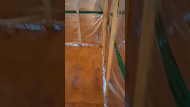 1000067674.mp4 Собака слушает о укладке пола из лфанеры его пропитка в ванной в доме А-фрейм
