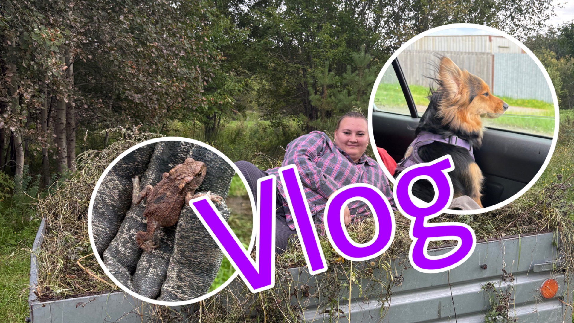 VLOG: Продуктивные выходныеедем на покос 