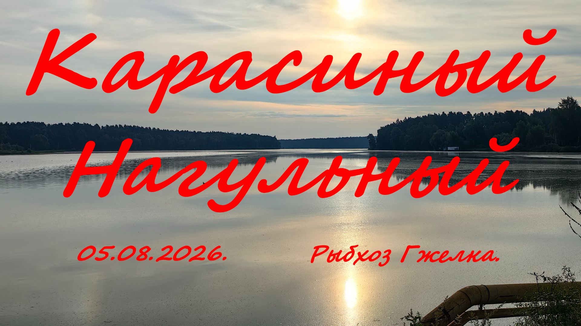 Карасиный Нагульный.  05.08.2026. Рыболовный клуб Гжелка. Платная рыбалка в Московской области.