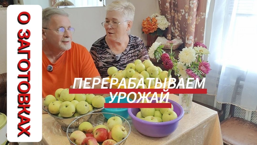 ЗАГОТОВКИ ИЗ ЯБЛОК