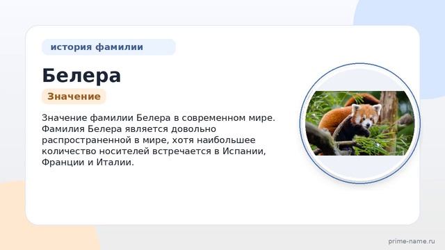 Фамилия Белера: происхождение значение и склонение