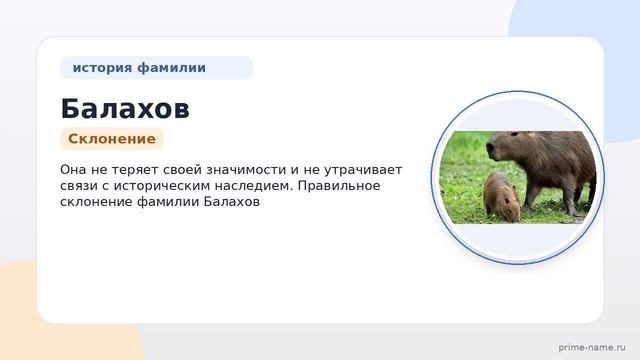 Фамилия Балахов: происхождение значение и склонение