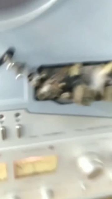 47449.mp4
