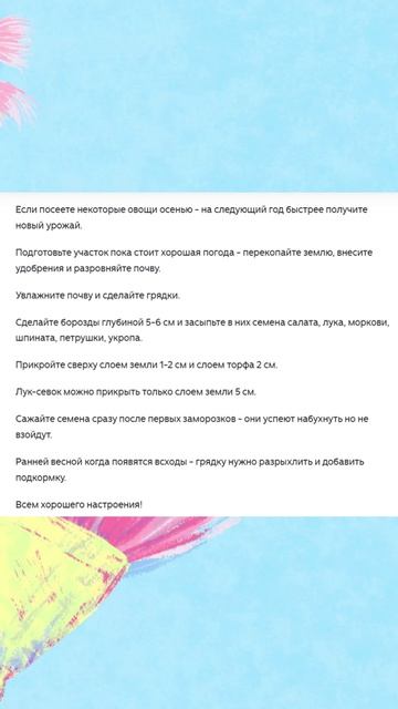 Овощи можно посеять и осенью