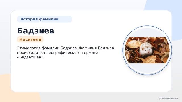 Фамилия Бадзиев: происхождение значение и склонение