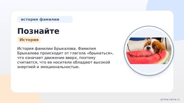 Познайте происхождение историю и значение фамилии Брыкалова: полное склонение и интересные факты.