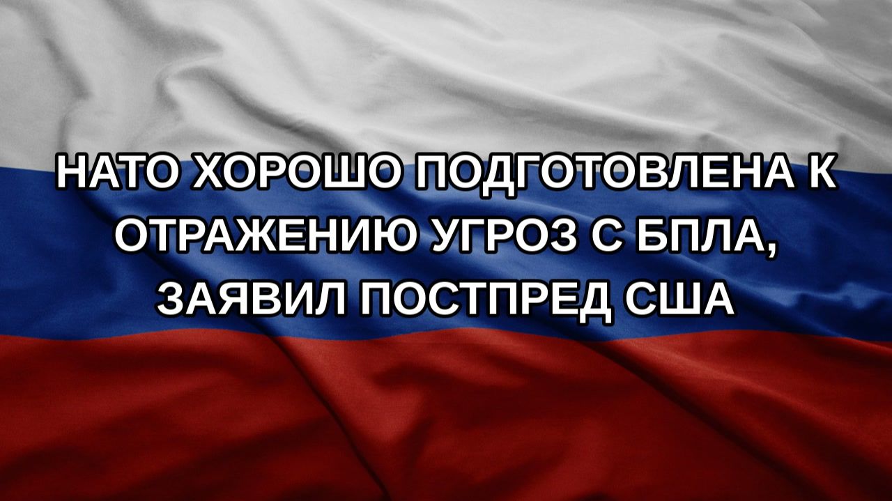 НАТО хорошо подготовлена к отражению угроз с БПЛА заявил постпред США