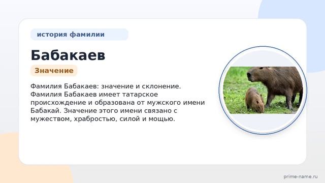 Фамилия Бабакаев: происхождение значение и склонение