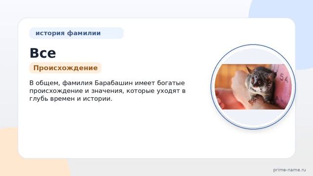 Все что вы хотели знать о фамилии Барабашин: происхождение история и значения а также правильное