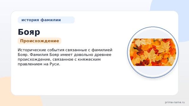 Происхождение история и склонение фамилии Бояр: всё что вам нужно знать о значении этой фамилии