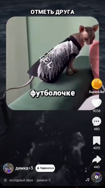 1000001270.mp4