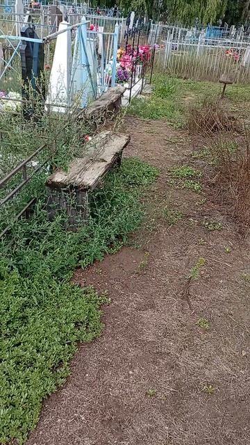 На прогулку пашло курица 21.08.26