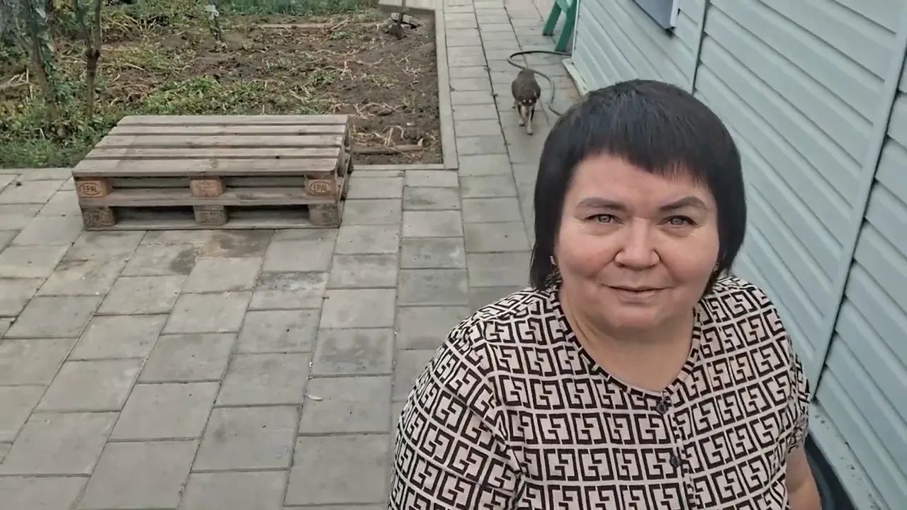 Дневник Обычной женщины. Собираю тёрн.уборка в кото - доме.