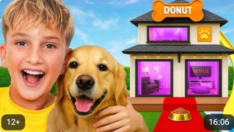⚡🍿 Дом мечты для собаки! 🐶 ЧЕЛЛЕНДЖ