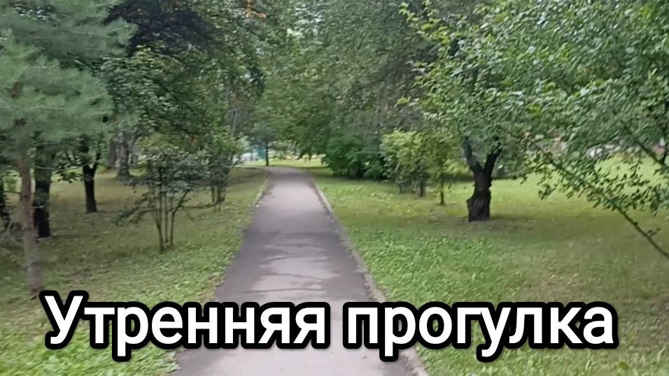22-08-2026. Утренняя прогулка.