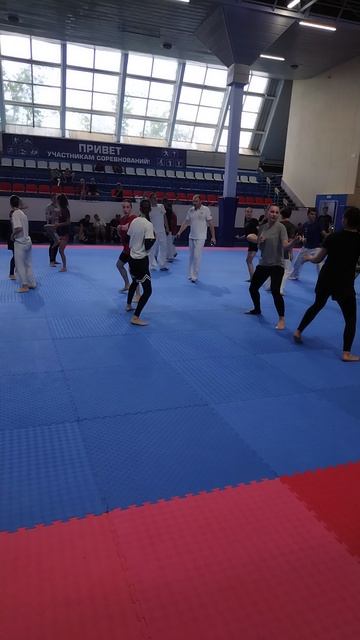VID_20260808_130007