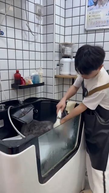 Злой кот