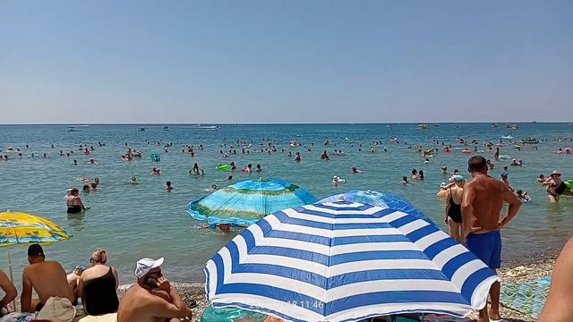 Пляж 18 июля суббота 11:37  Архипка 2026 год Народу на пляже и в море  очень много