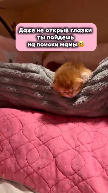 Просто такая сильная любовь  