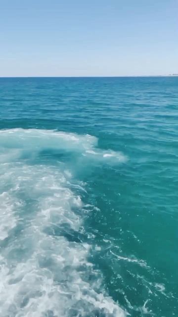 море