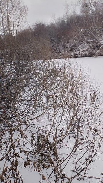 VID_20251107_143545
