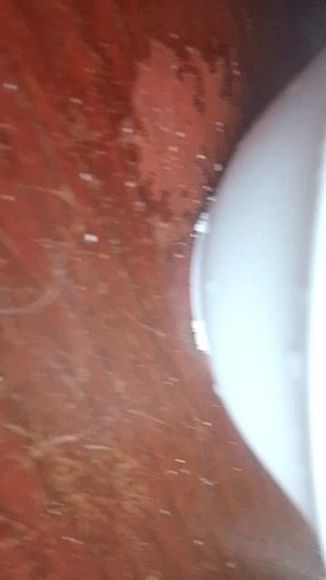 4406.mp4