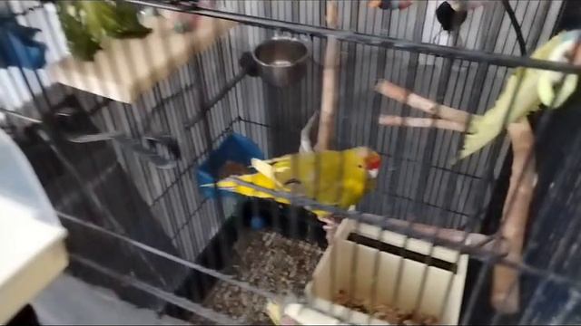 попугай шевшевшвешевшевшвевешвешешчшеввешвешяшешевевлевлкляелвлеввдеевдевдевдведевдедвевде r.i.p cry