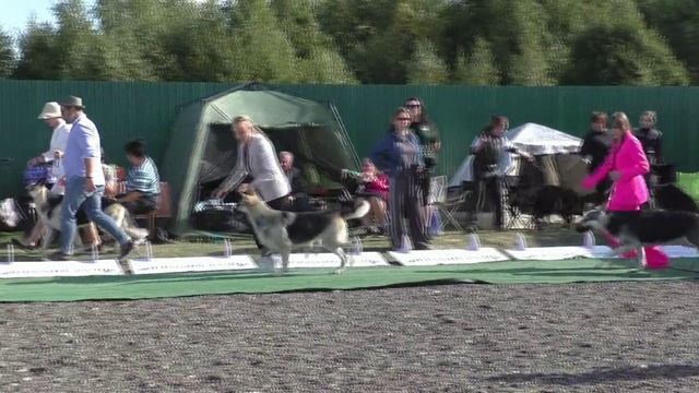 Класс чемпионов 1 группа
