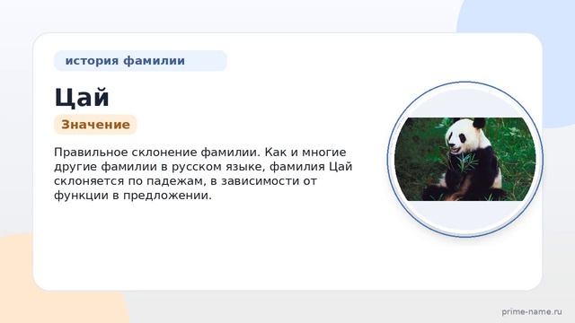 Изучаем происхождение и историю фамилии Цай: значение и правильное склонение с помощью нашей статьи!