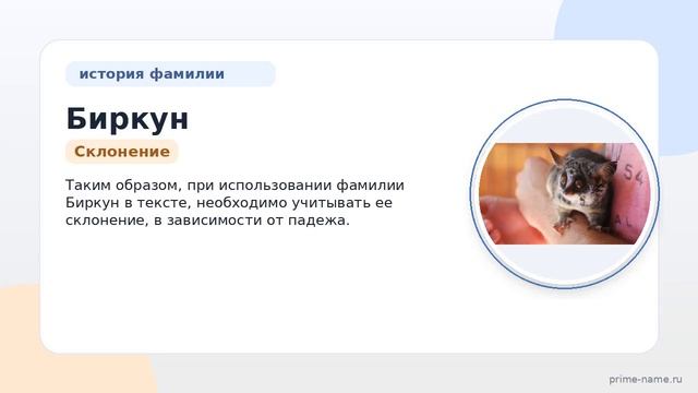 Фамилия Биркун: происхождение значение и склонение