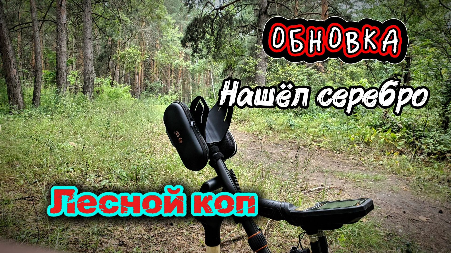 У меня снова обновка. Нашёл в лесу серебро.