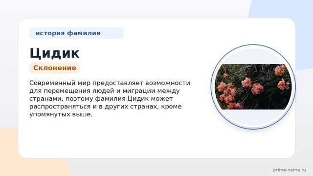 Фамилия Цидик: происхождение значение и склонение
