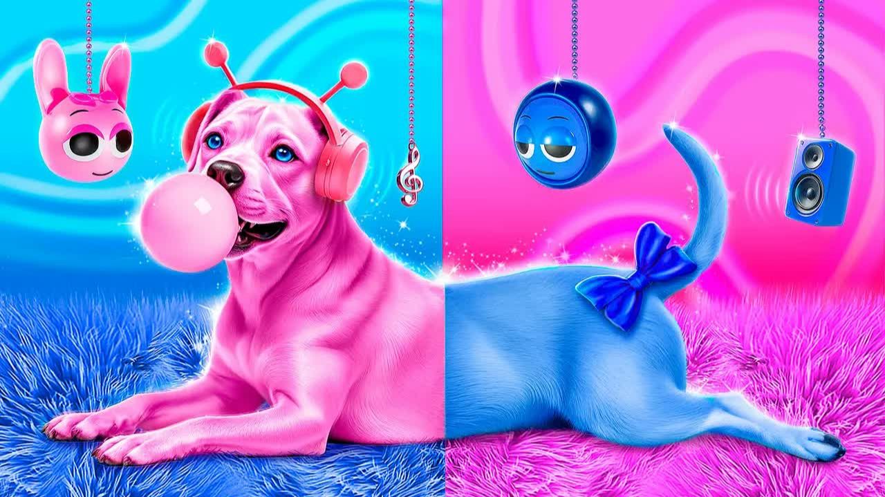 Мы спасли бездомную собаку! Строим секретную комнату для животных! Розовый vs синий!