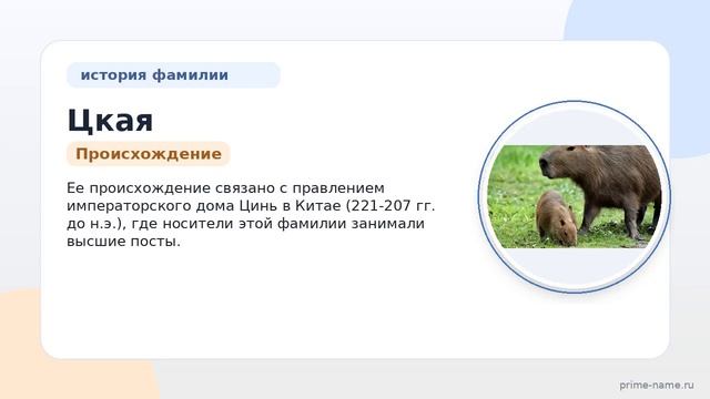 Фамилия Цкая: происхождение значение и склонение