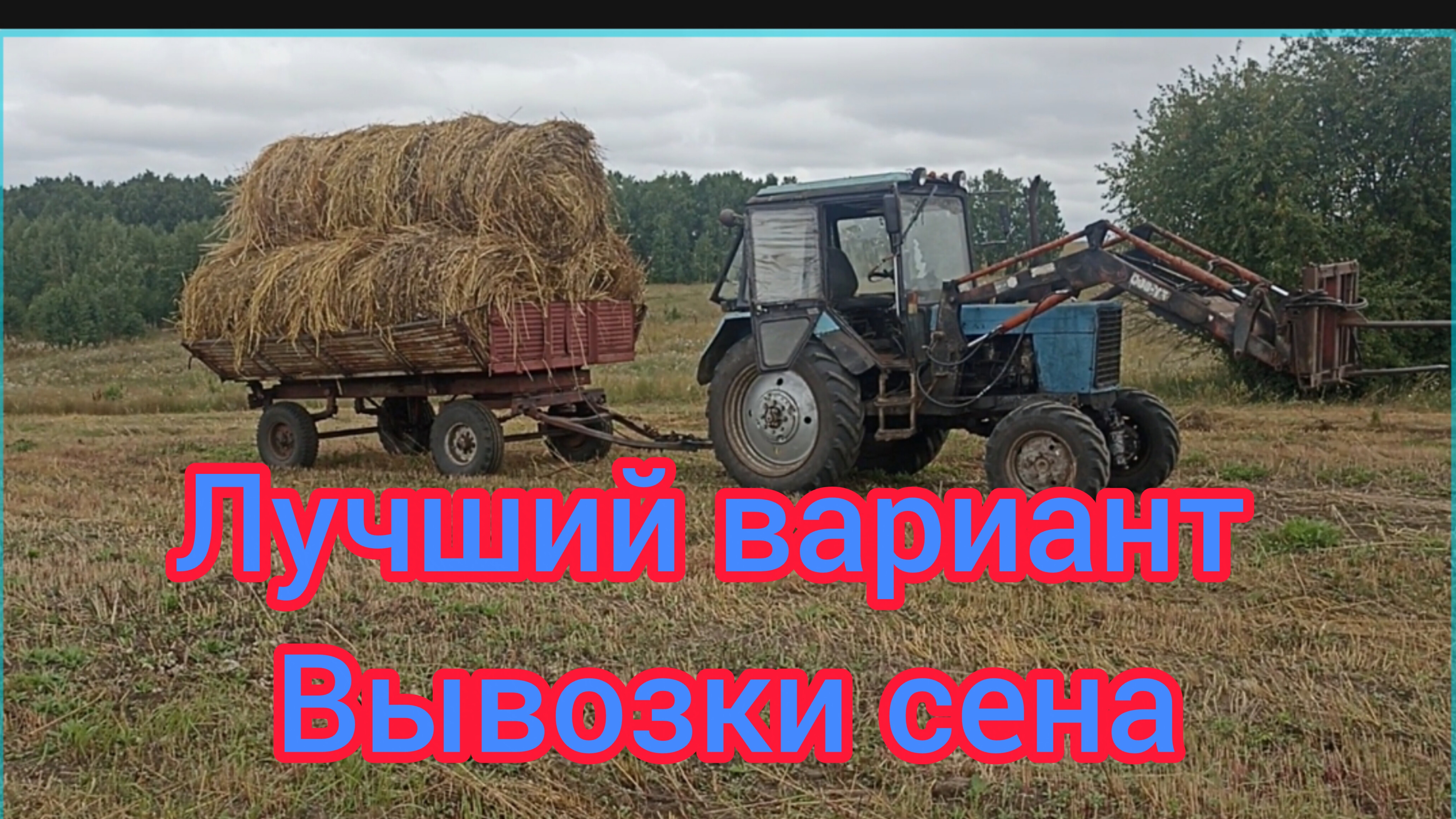 Продолжаем вывозить сено с поля!Вилы или лопата!!Как лучше грузить рулоны с земли в прицеп.