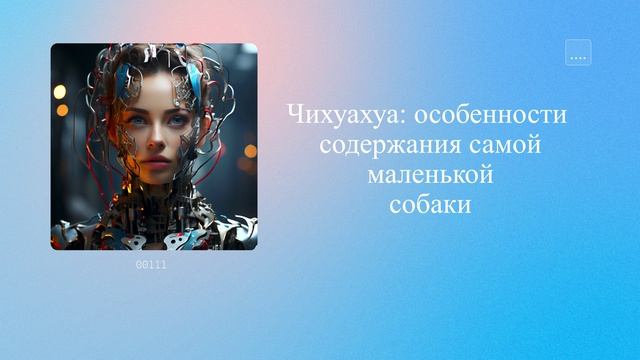 Чихуахуа: особенности содержания самой маленькой собаки
