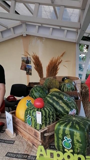 Фестиваль Вкусы России на ВДНХ 3