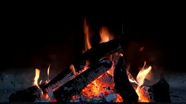 ТАЙГА. Таинственные случаи в тайге.