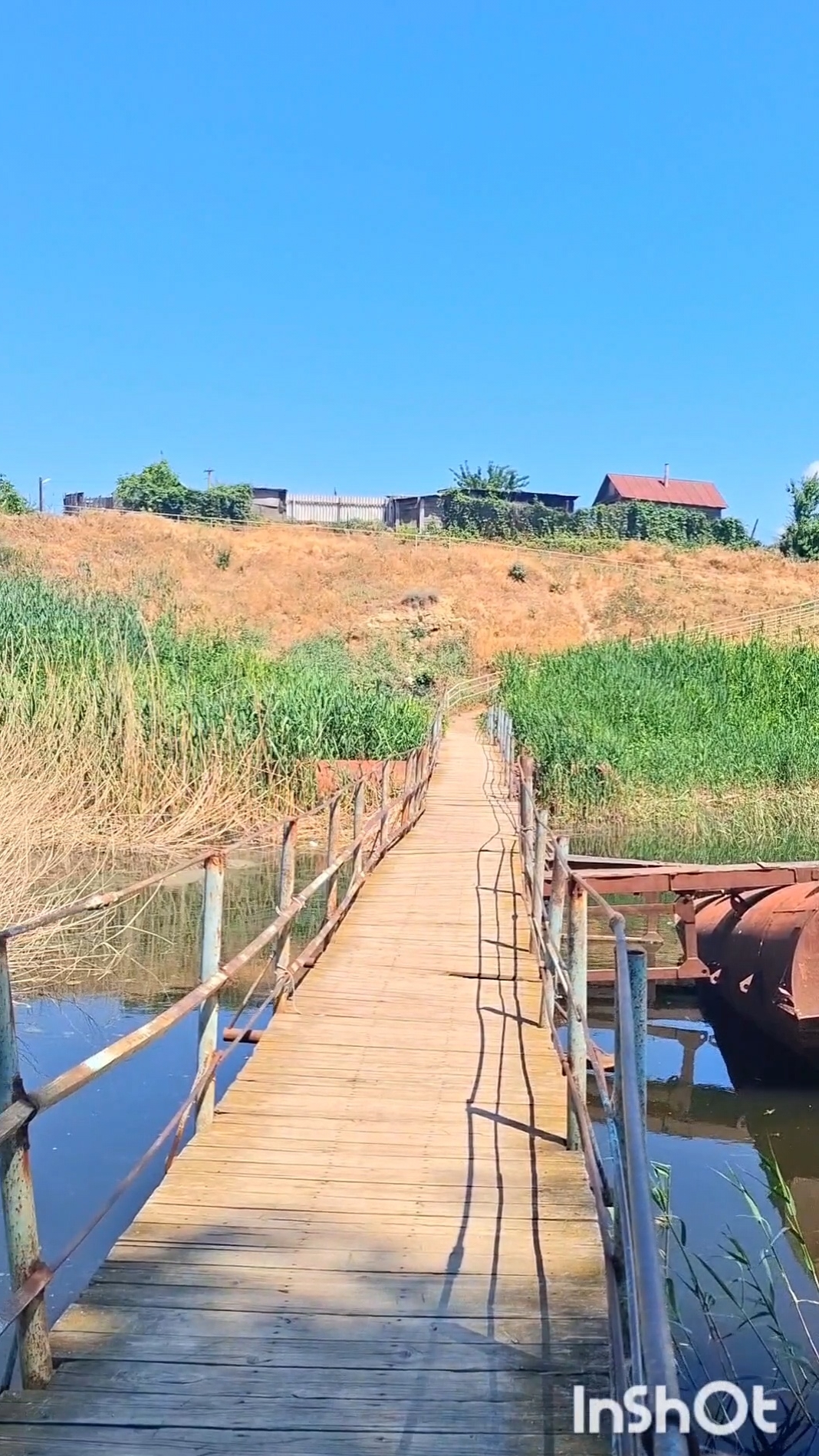 Древенское утро на старом мосту в заливе Волги🏞утро, полное спокойствия❤️#деревня #мост #река