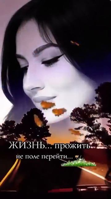 Жизнь прожить не поле перейти...