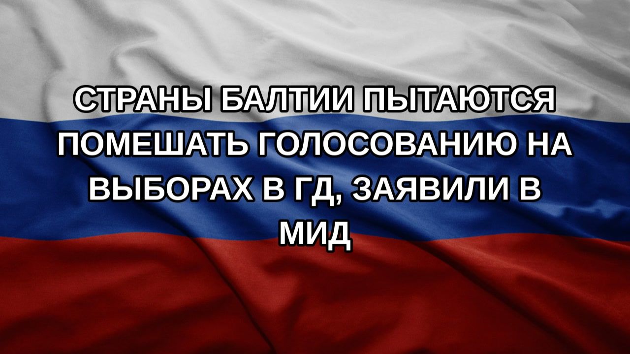 Страны Балтии пытаются помешать голосованию на выборах в ГД заявили в МИД