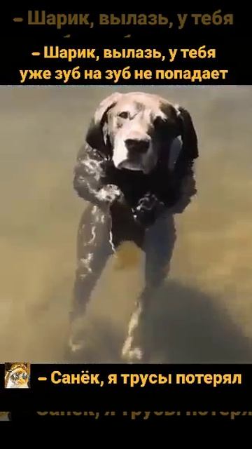 БЫВАЕТ