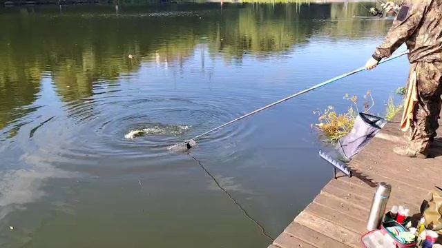 Снова Карпуша