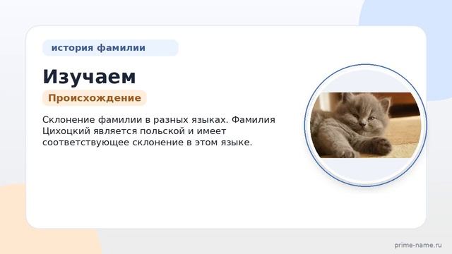 Изучаем происхождение фамилии Цихоцкий: история значение и склонение