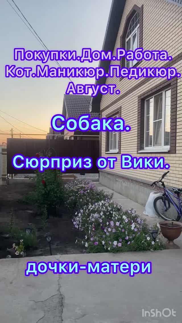 Покупки. Кот. Собака. Сюрприз от Вики. Маникюр. Педикюр. И другое.