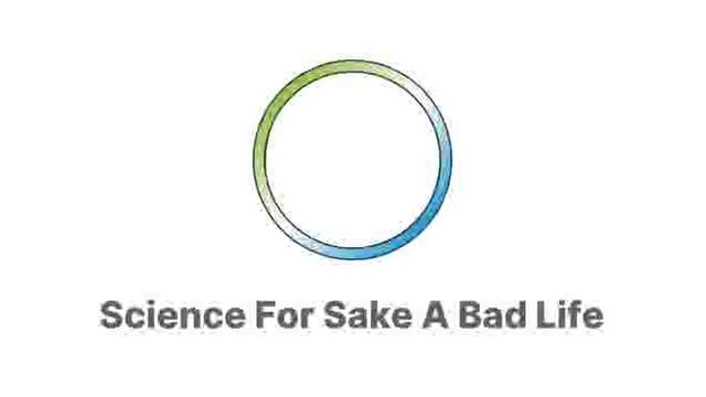 RSA: Bayer2017