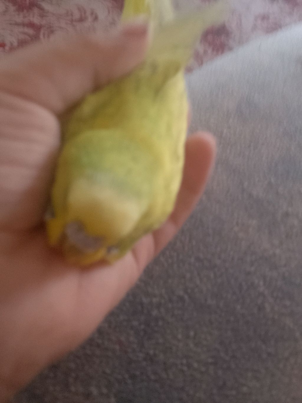 м