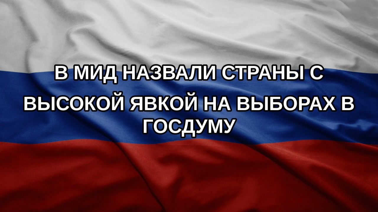 В МИД назвали страны с высокой явкой на выборах в Госдуму
